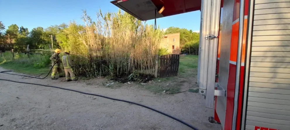 Bomberos sofocaron un incendio en un cañaveral