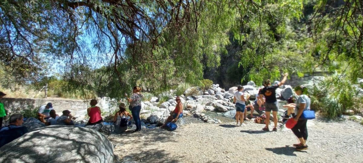 Caminata saludable para despedir el año