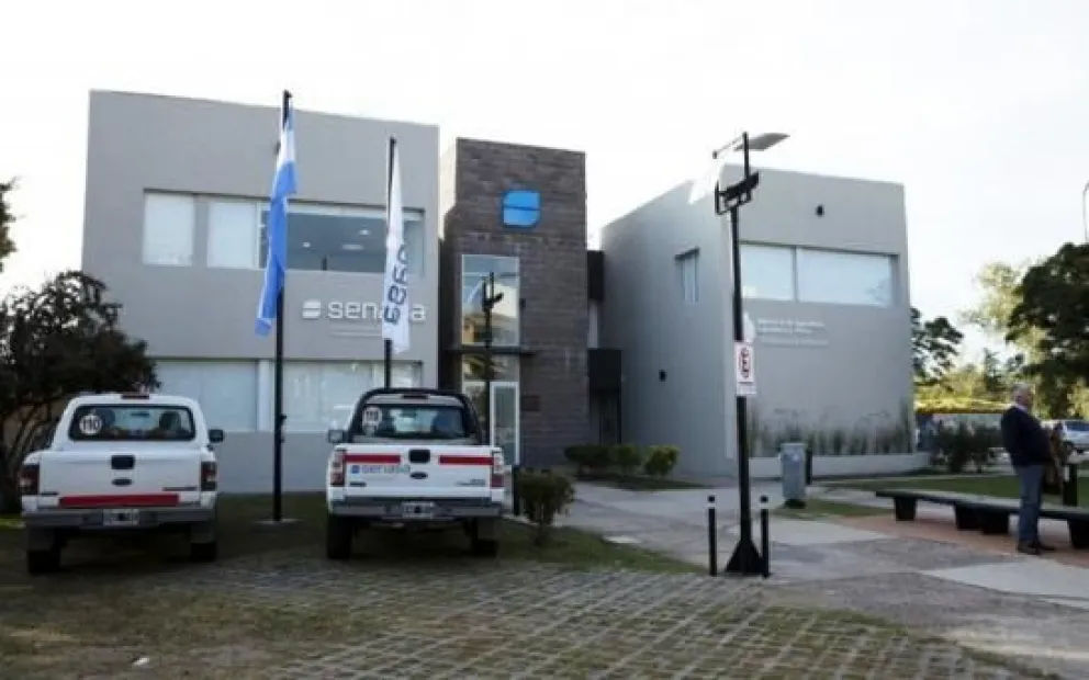 Sacrifico sanitario de un equino con Anemia Infecciosa en Candelaria