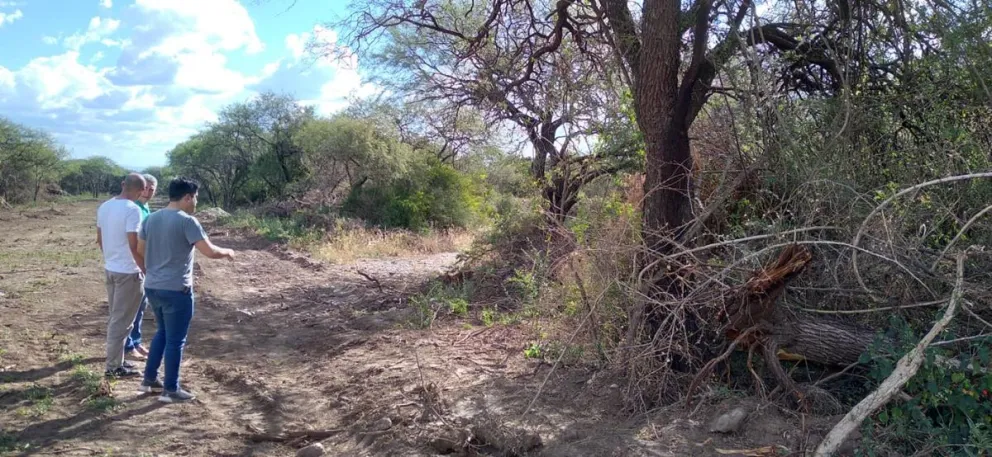 Preocupación por desmonte en la zona del cementerio
