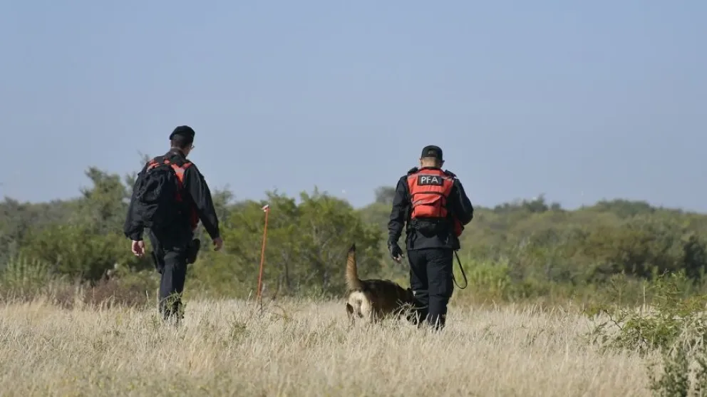 Búsqueda de Guadalupe: Gendarmería Nacional y Policía Federal participan de los nuevos rastrillajes