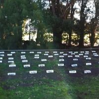 Cementerio de mascotas en Villa de Merlo: piden opinión al Ejecutivo